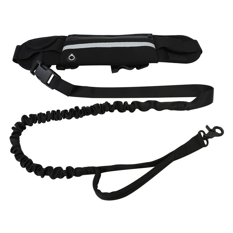Transform Your Dog Walking Experience with the Pet Purse Style Walking Training Leash