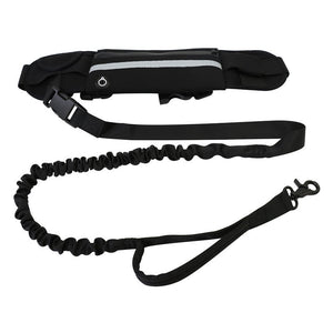 Transform Your Dog Walking Experience with the Pet Purse Style Walking Training Leash