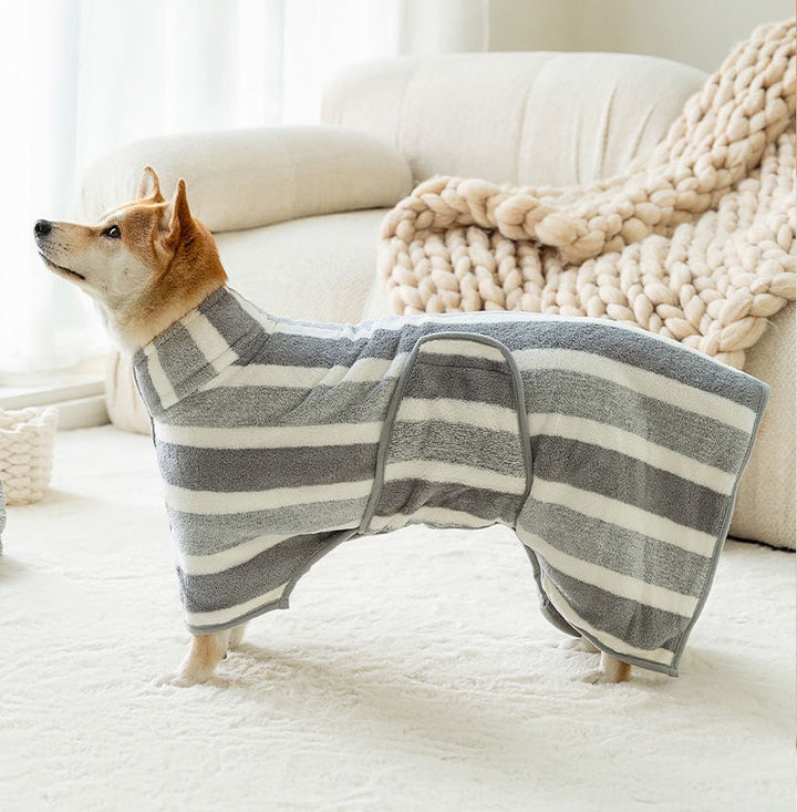 Why Your Pet Deserves the Best Bath Experience