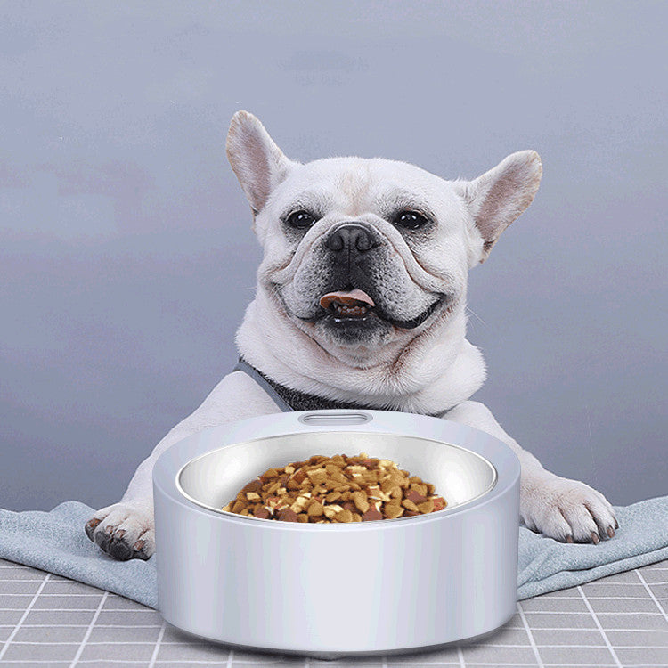 Large Capacity Stainless Steel Pet Feeding Scale Bowl