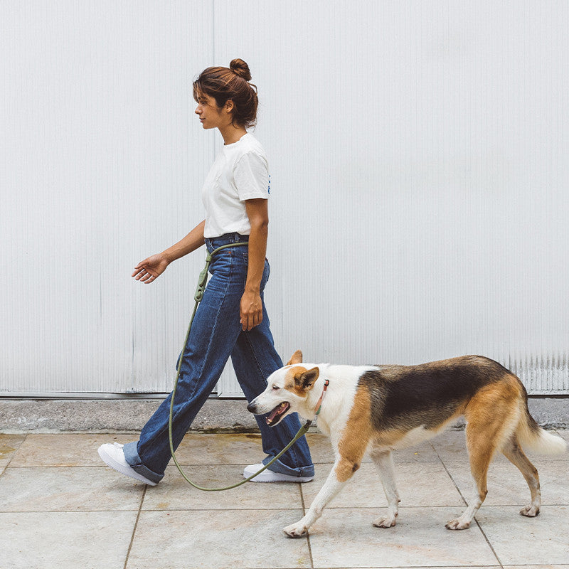 Minimalist Fashion Slant Pet Training Walking Leash