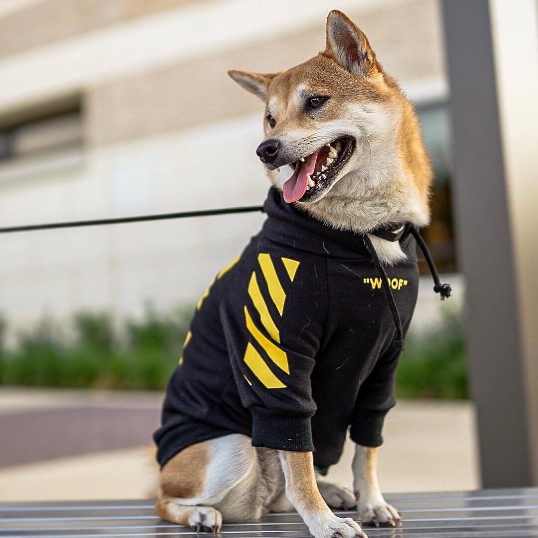 Striped Fashion Pet Sweater Autumn Winter Sports Outfit