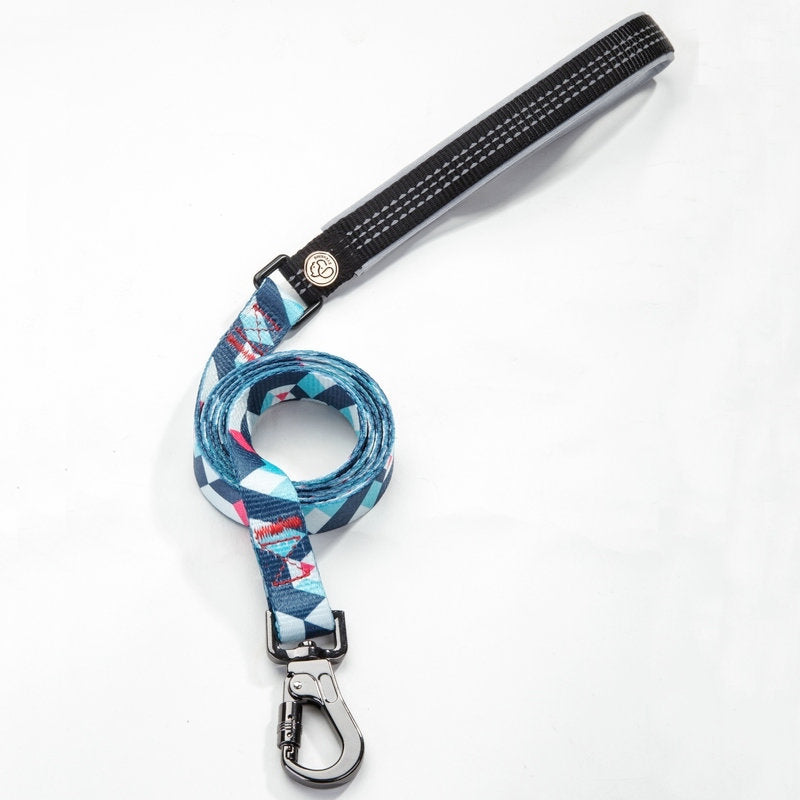 Pet supplies leash