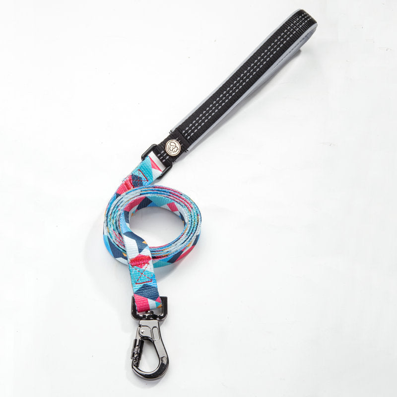 Pet supplies leash