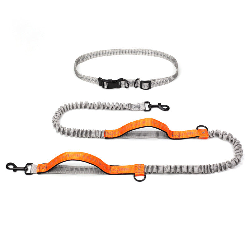 Outdoor Running Pet Training Leash Supplies