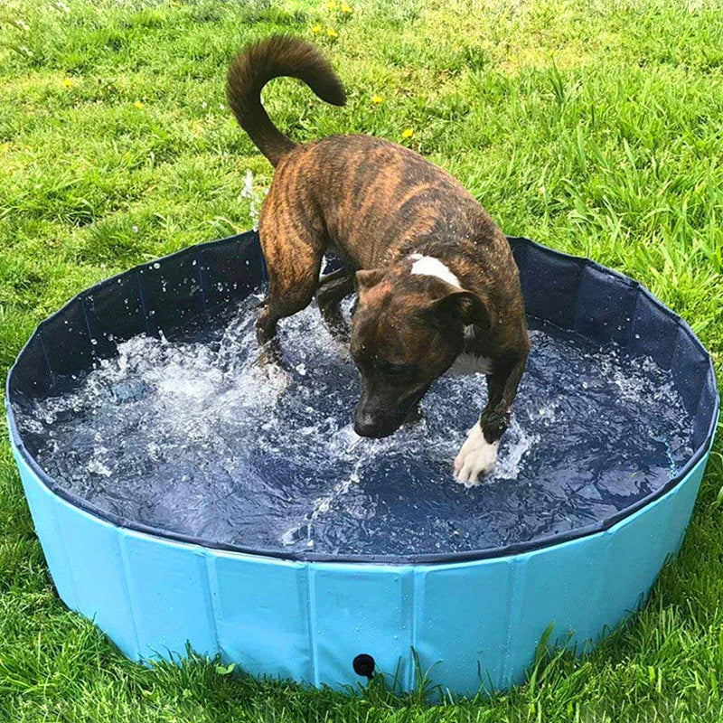 Foldable Pet Bath Swimming Pool Collapsible Indoor Outdoor Bath Tub
