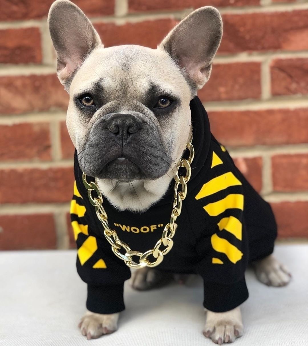 Striped Fashion Pet Sweater Autumn Winter Sports Outfit