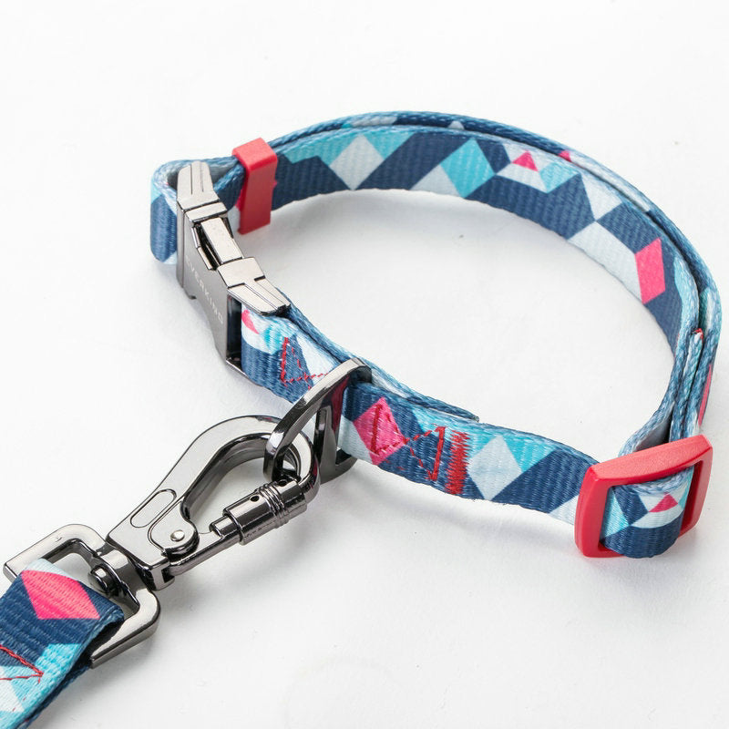 Pet supplies leash