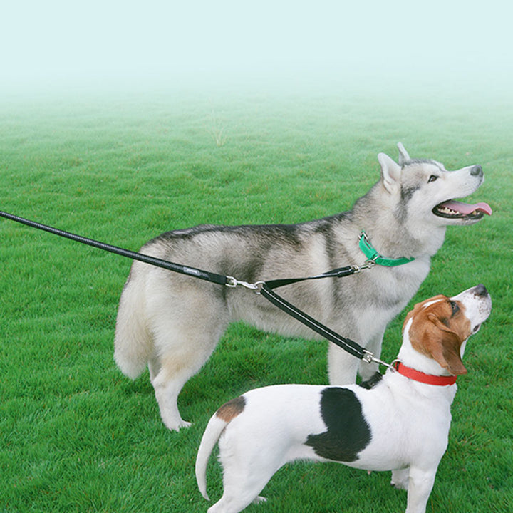 Reflective Double Head Nylon Pet Leash Split Lead