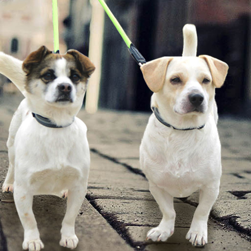 Reflective Double Head Nylon Pet Leash Split Lead