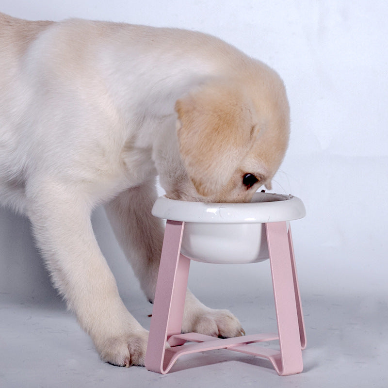 Anti-Slip Iron Stand Dual Pet Feeding Bowl Set