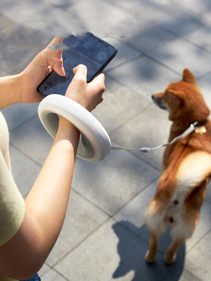 Durable Automatic Meng Wangxing UFO Retractable Pet Leash Chain