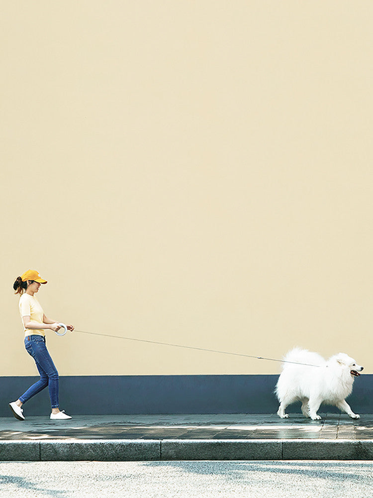 Durable Automatic Meng Wangxing UFO Retractable Pet Leash Chain
