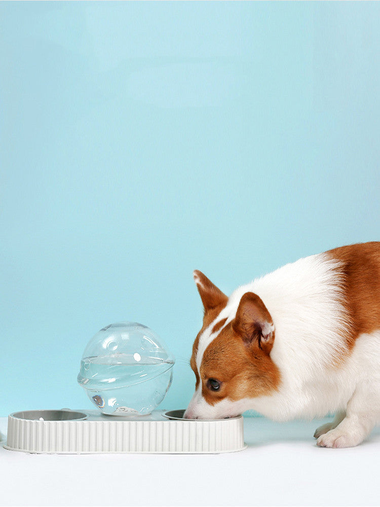 Automatic Plastic Pet Feeding Water Drinking Bowl Dispenser