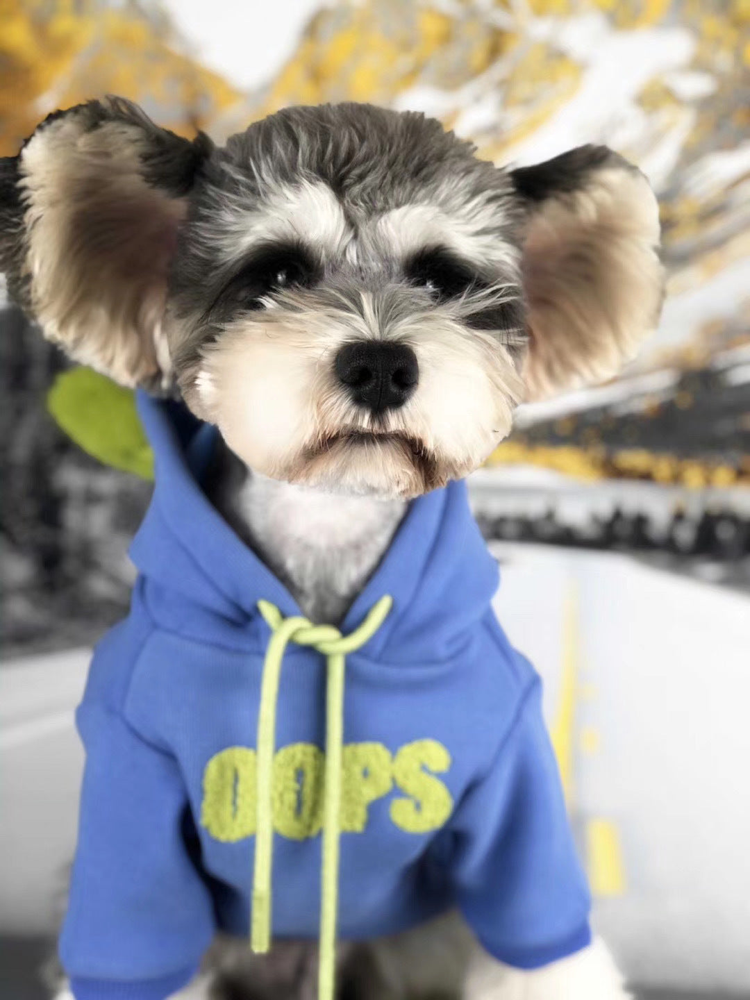VIP Velvet Lined Pet Sweater Warm Clothing Outfit