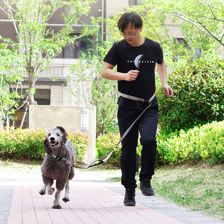 1.8M Multifunctional Pet Training Running Traction Leash