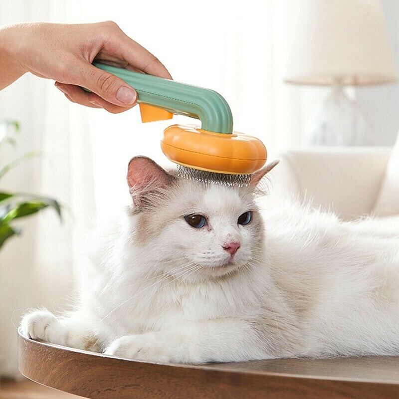 Self Cleaning Pet Pumpkin Grooming Slicker Brush For Loose Hair Removal