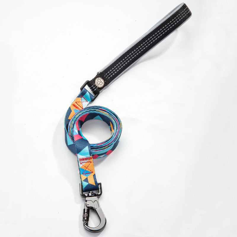 Pet supplies leash