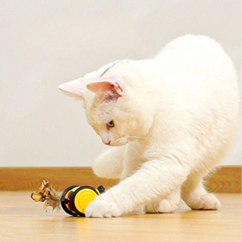 Pet Electric Interactive Moving Teaser Toy Accessories