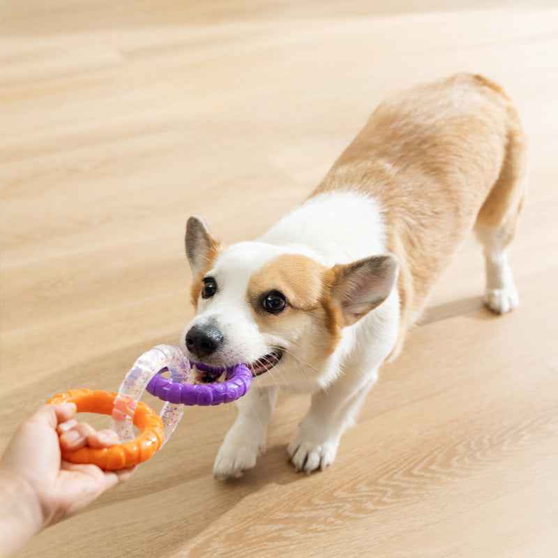 Pet Floating Water Flying Disc Training Chew Resistant Toy