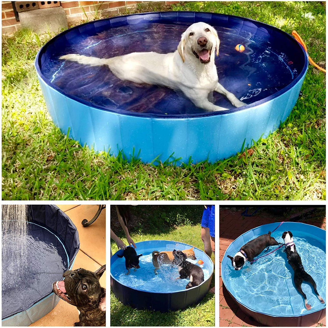Foldable Pet Bath Swimming Pool Collapsible Indoor Outdoor Bath Tub