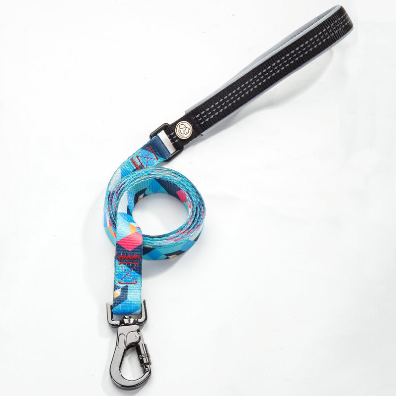 Pet supplies leash
