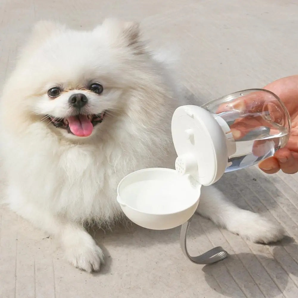 Portable Pet Water Bottle Travel Drinking Bowl Lanyard Supplies