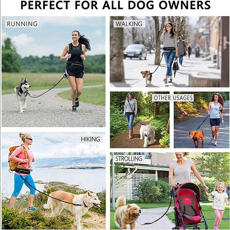 Pet Purse Style Walking Training Leash