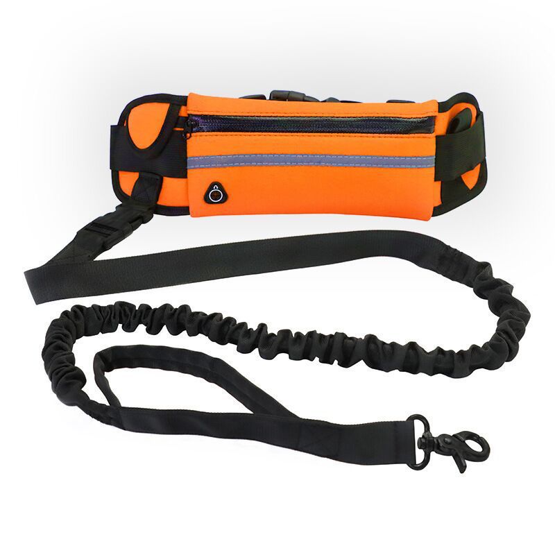 Pet Purse Style Walking Training Leash