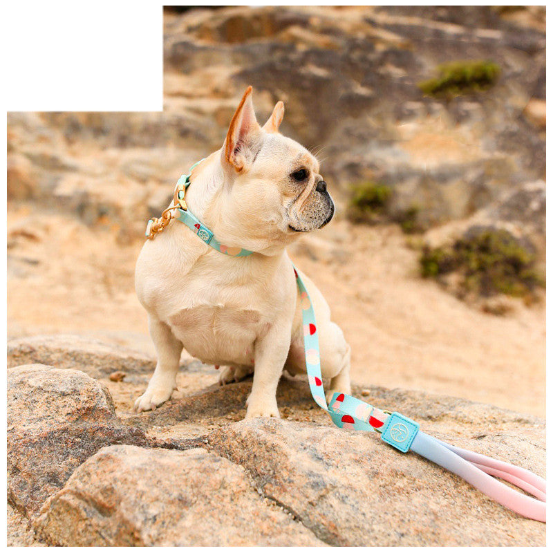 Fashion Y-Shaped Chest Strap Pet Training Leash Supplies