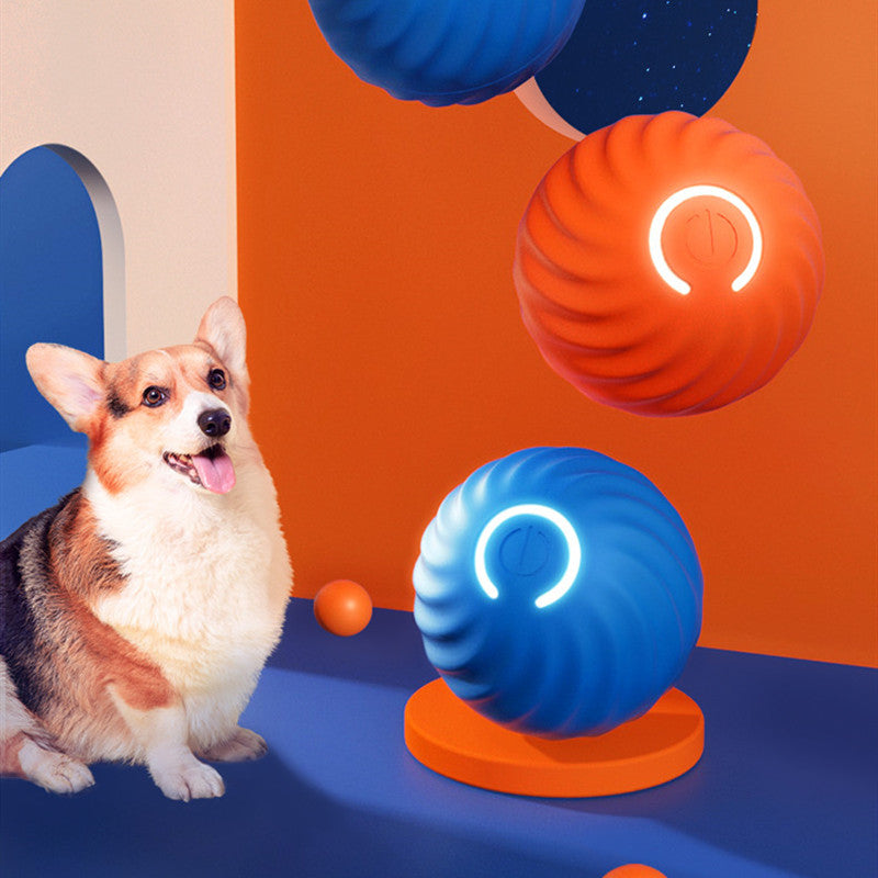 Pet Bite Resistant Rubber Ball Chew Training Toy