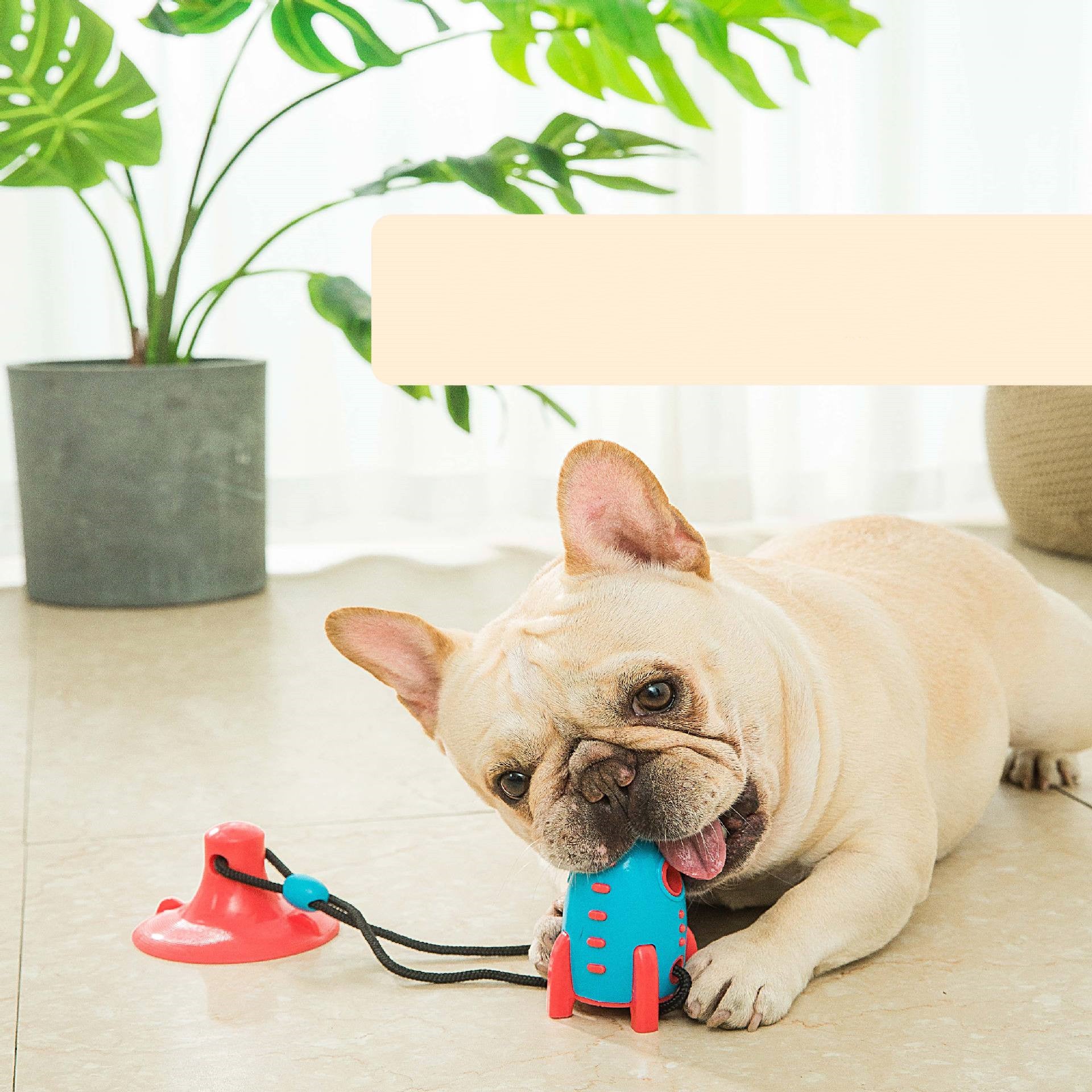 Pet Rocket Food Dispensing Bite Resistant Toy Accessories
