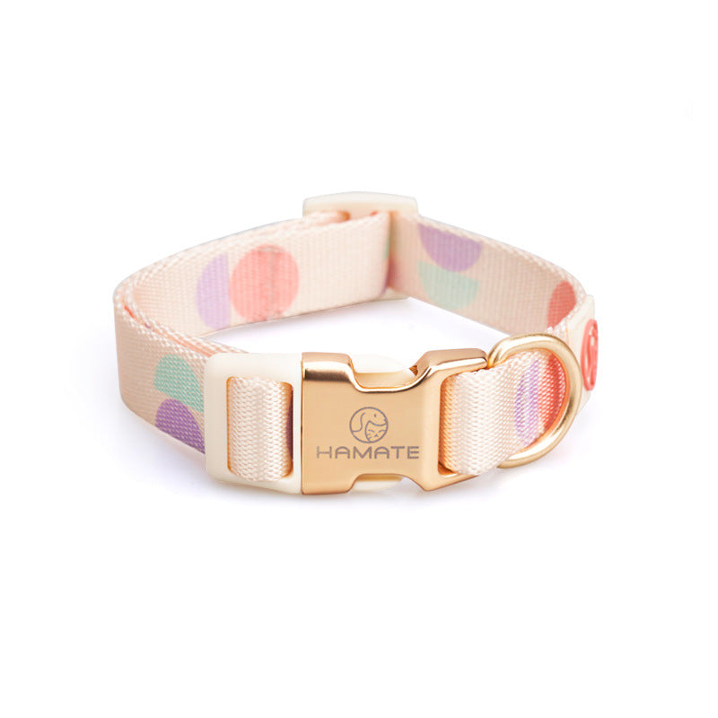 Fashion Y-Shaped Chest Strap Pet Training Leash Supplies