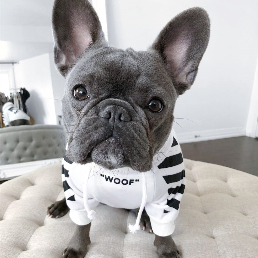 Striped Fashion Pet Sweater Autumn Winter Sports Outfit