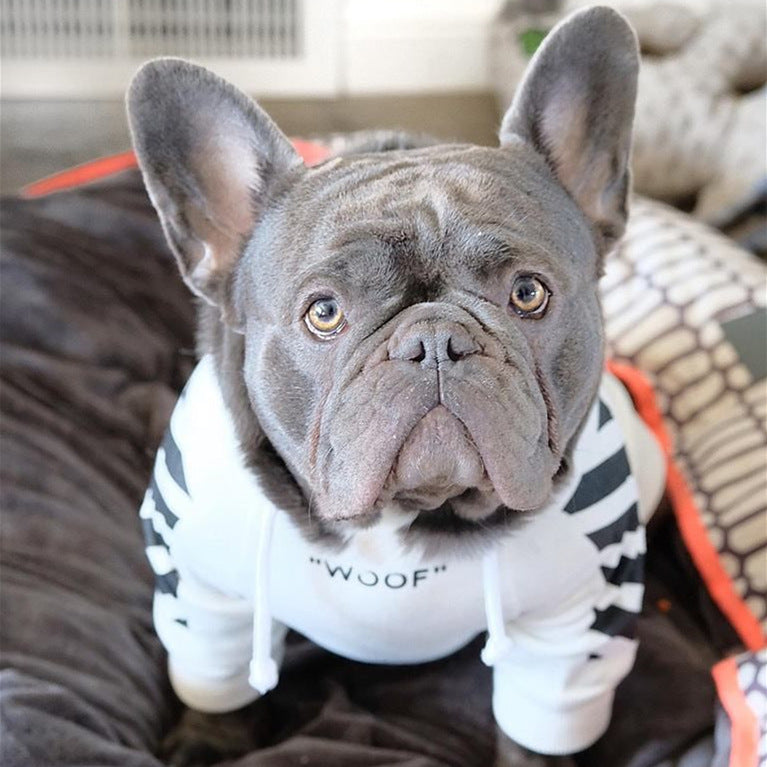 Striped Fashion Pet Sweater Autumn Winter Sports Outfit