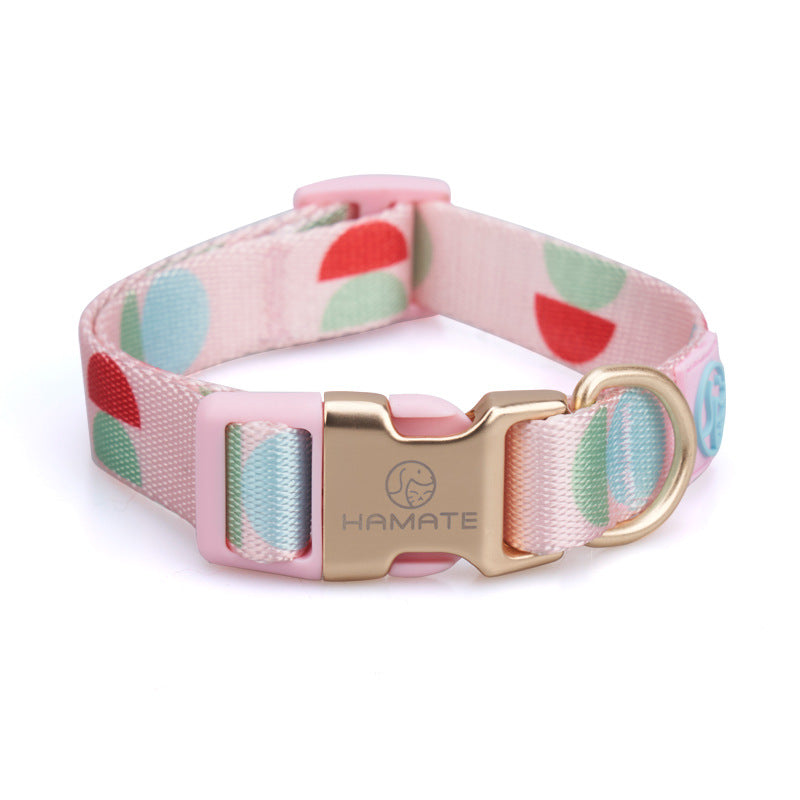 Fashion Y-Shaped Chest Strap Pet Training Leash Supplies