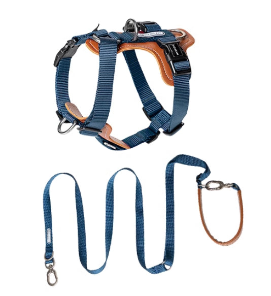 Multifunctional Pet Rope Leash Chest Strap Explosion Proof Harness Lead
