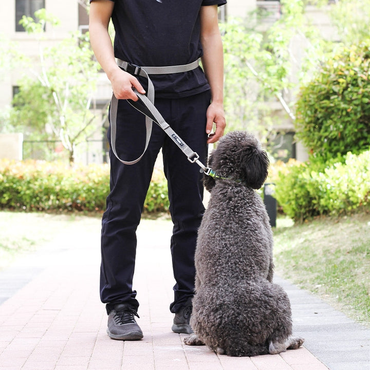 Multi-Functional Running Pet Training Traction Leash
