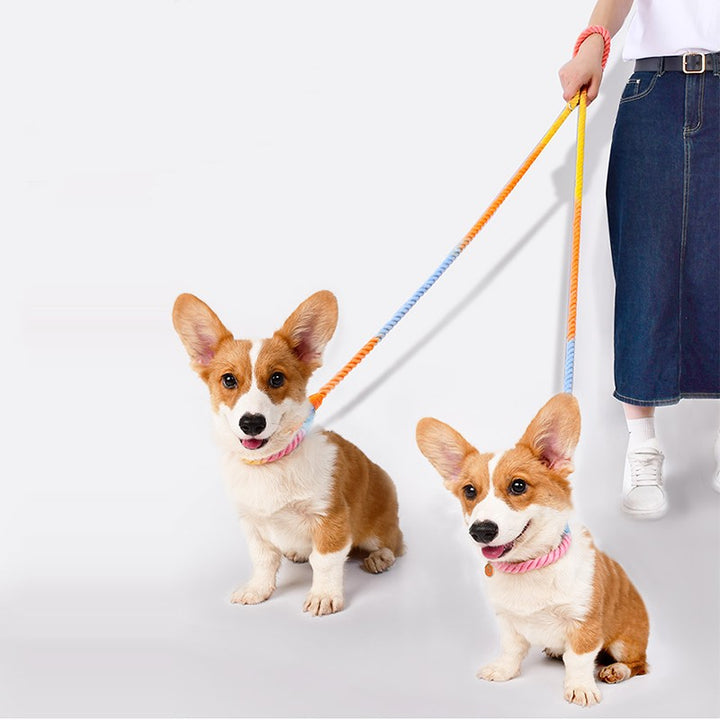 Multi-Functional Dual Head Pet Training Leash