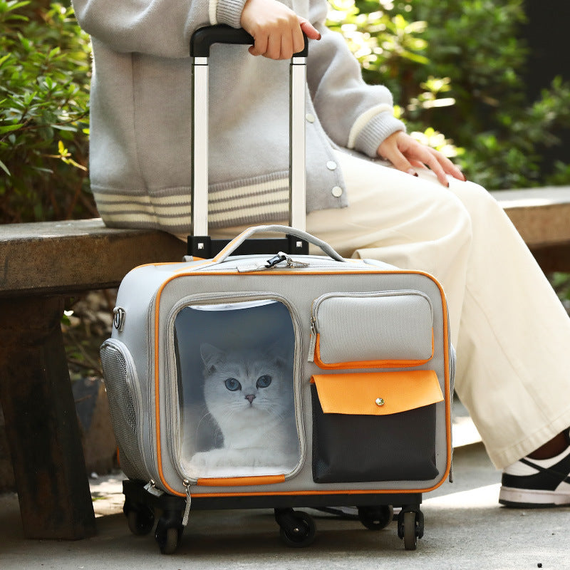 Pet Trolley Backpack Carrier Bag Anti Stress Travel Design