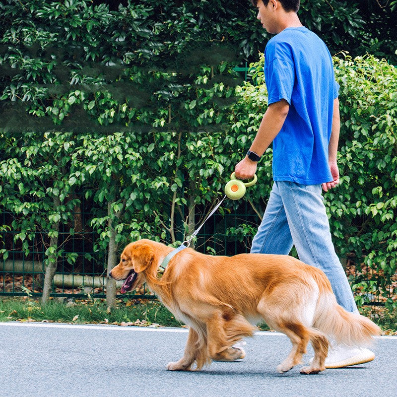 Retractable Reflective Pet Training Walking Rope Leash