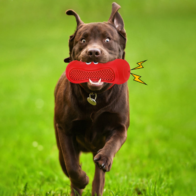 Pet Natural Rubber Rugby Squeaky Chew Teething Toy