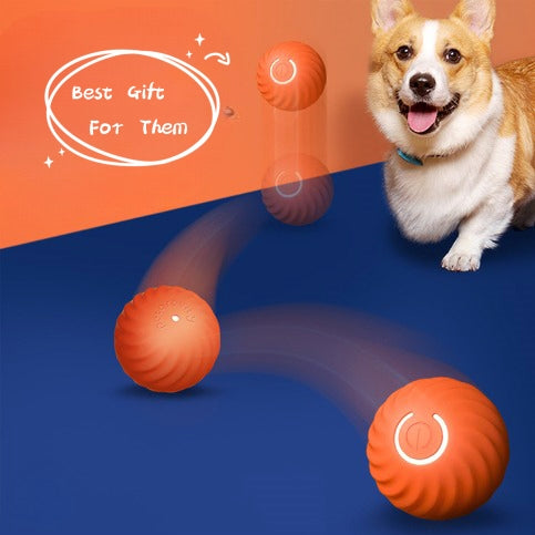Pet Bite Resistant Rubber Ball Chew Training Toy