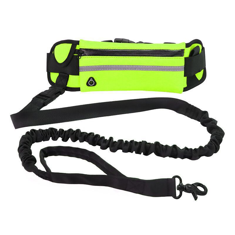 Pet Purse Style Walking Training Leash