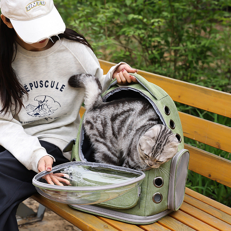 Portable Transparent Pet Backpack Capsule Style Travel Carrier Bag
