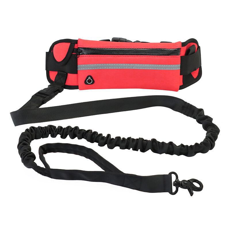 Pet Purse Style Walking Training Leash