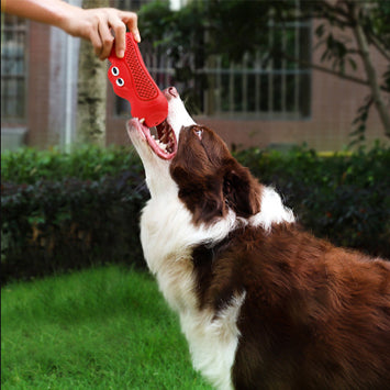 Pet Natural Rubber Rugby Squeaky Chew Teething Toy