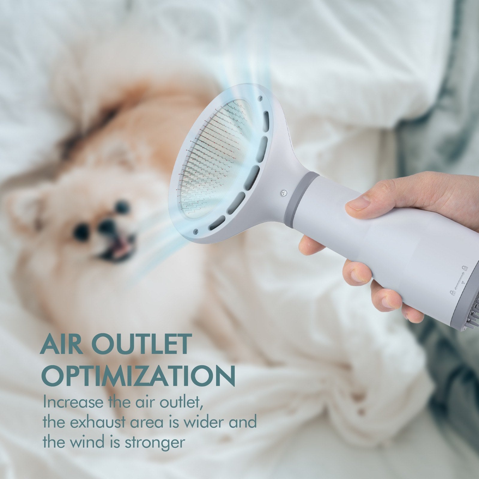 Pet Grooming Dryer Brush Hair Drying And Slicker Comb Tool