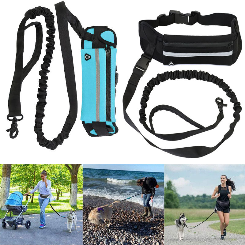 Pet Purse Style Walking Training Leash