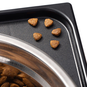 Elevated Pet Feeding Bowl Neck Protection Anti Tumble Design
